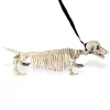 Skjelett Gravhund i Bånd