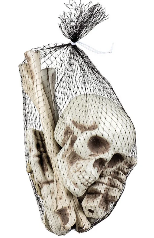 Skjelett Knokler