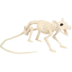 Skjelett Rotte