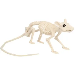 Skjelett Rotte
