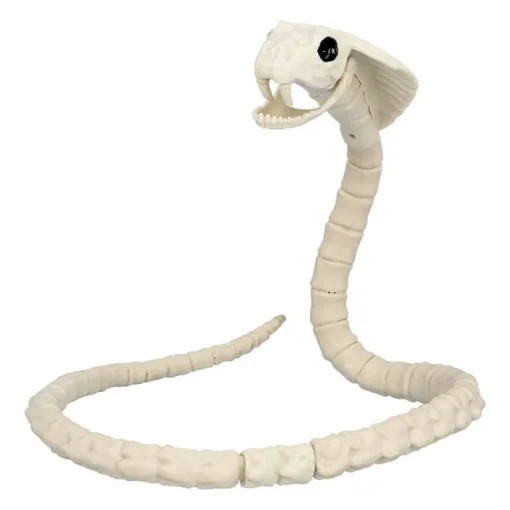 Slange Skjelett