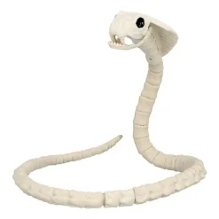 Slange Skjelett