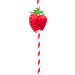 Sommer Frukt Sugerør