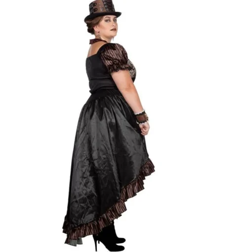 Steampunk Lady Kostyme