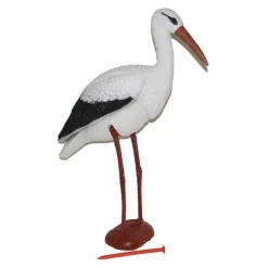 Stork
