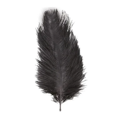 Strutsefjær Svart 55-60 cm