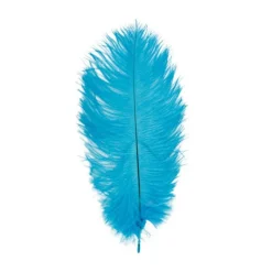 Strutsefjær Turkis 20-25 cm