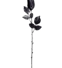 Svart Rose