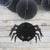 Sweety Halloween Edderkopp Honeycomb