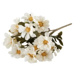 Tannrot Blomst Hvit