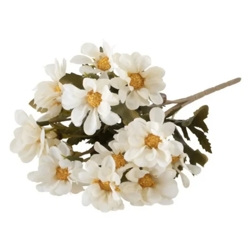 Tannrot Blomst Hvit