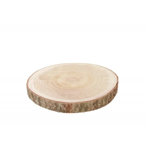 Treskive Paulownia