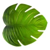 Tropisk Monstera Blad