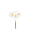 Tusenfryd Blomster