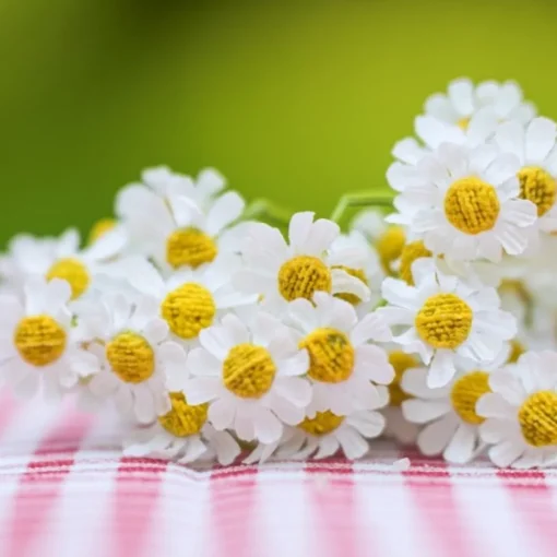 Tusenfryd Blomsterbukett