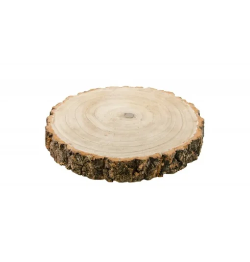 Tykk Treskive Paulownia