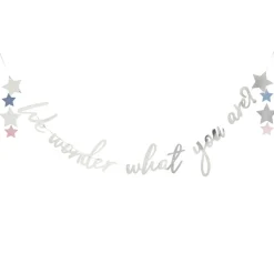 We Wonder What You Are Babyshower Girlander