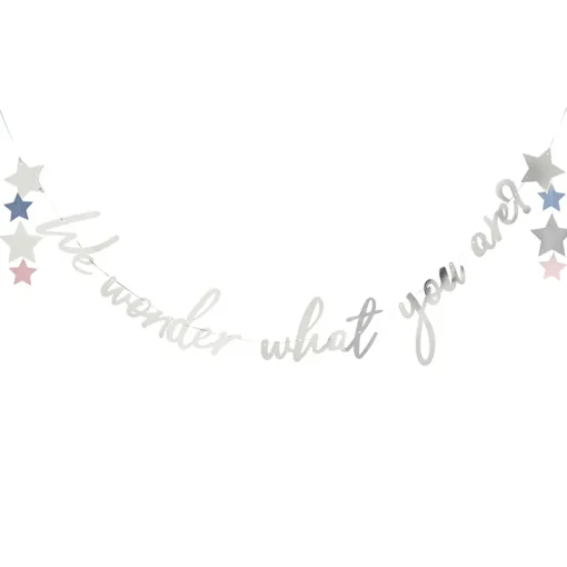 We Wonder What You Are Babyshower Girlander