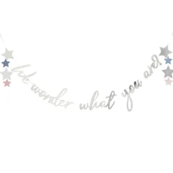 We Wonder What You Are Babyshower Girlander