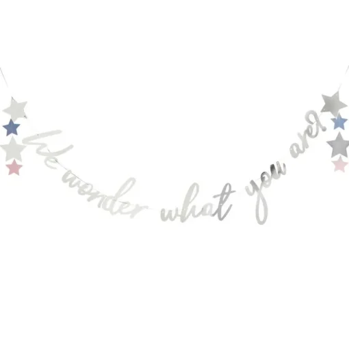 We Wonder What You Are Babyshower Girlander