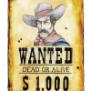 Western Wanted Plakat