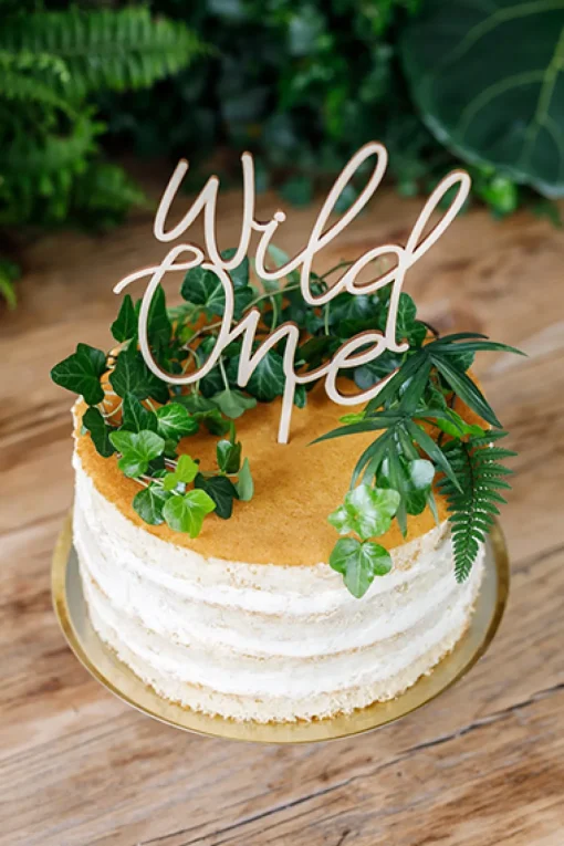 Wild One Tre Kaketopper
