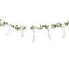 Wisteria Blomster Girlander
