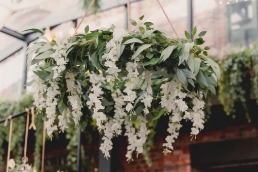 Wisteria Blomster Girlander