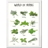 World Of Herbs A4 Plakat
