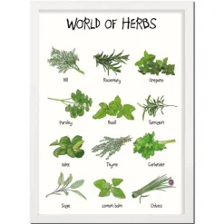 World Of Herbs A4 Plakat