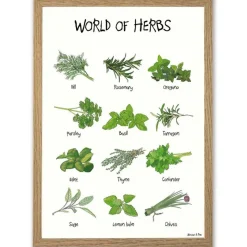 World Of Herbs A4 Plakat