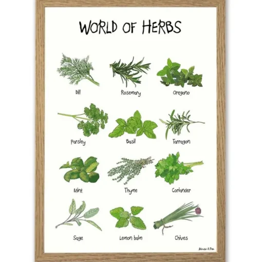 World Of Herbs A4 Plakat